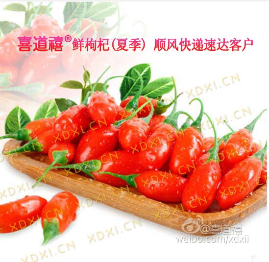        【寧夏枸杞樹生長周期】